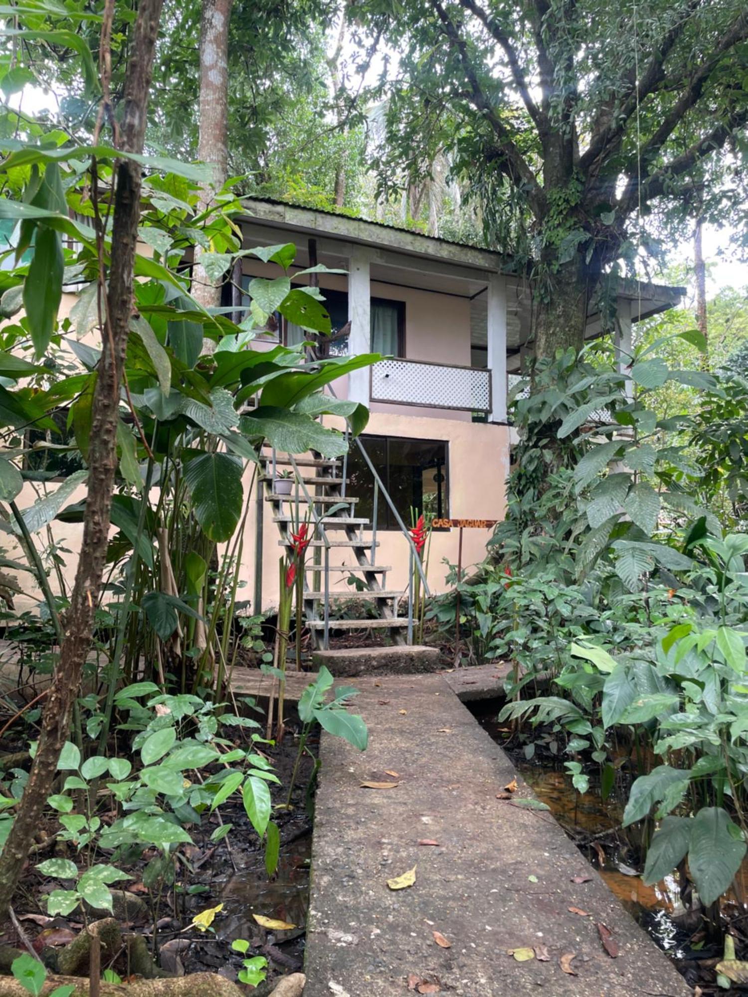 Casa Jaguar Tortuguero Exterior foto